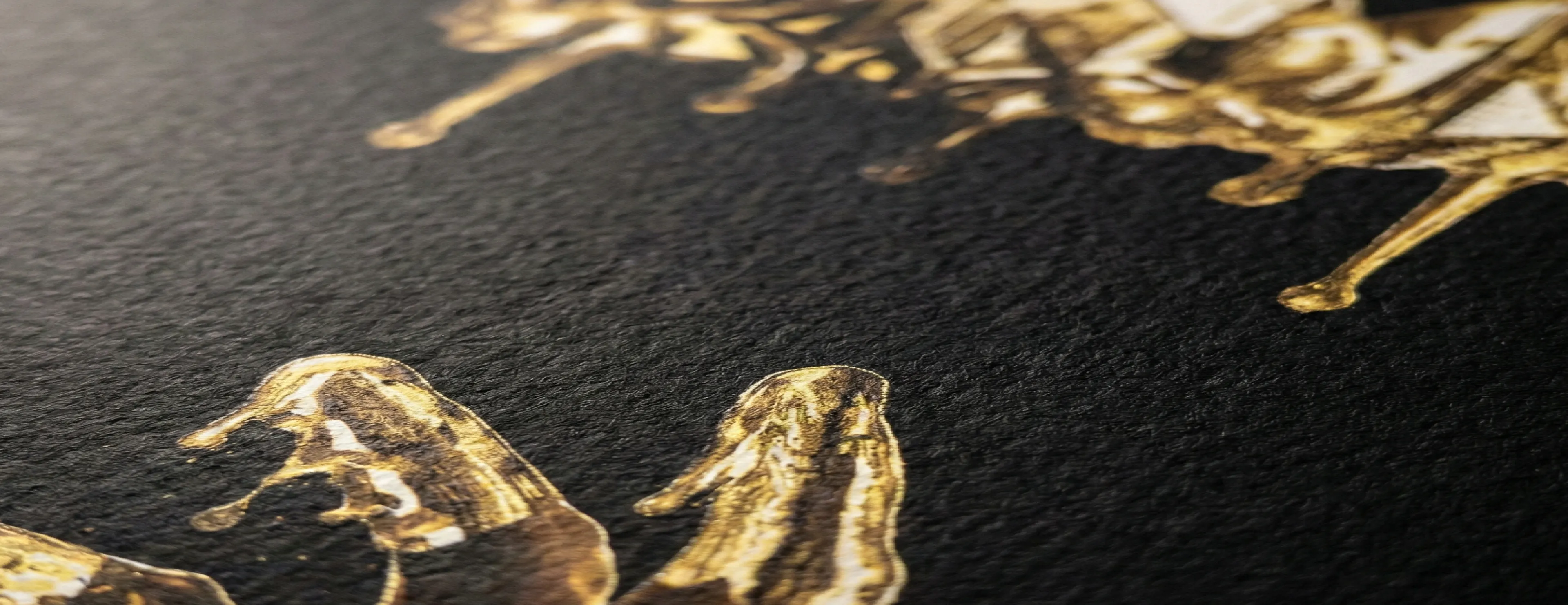 Detail v2.0